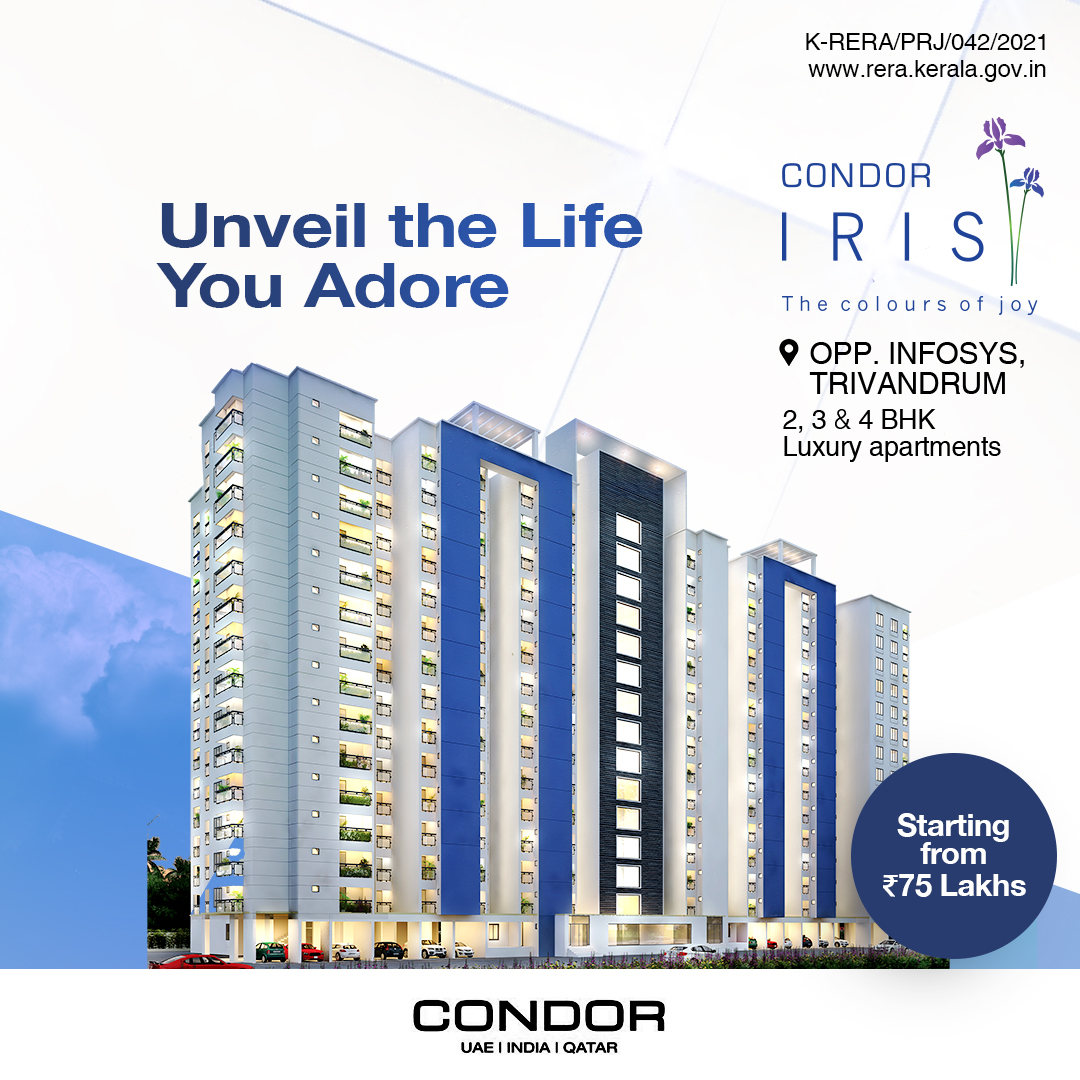 CONDOR CYBER GARDENS IRIS