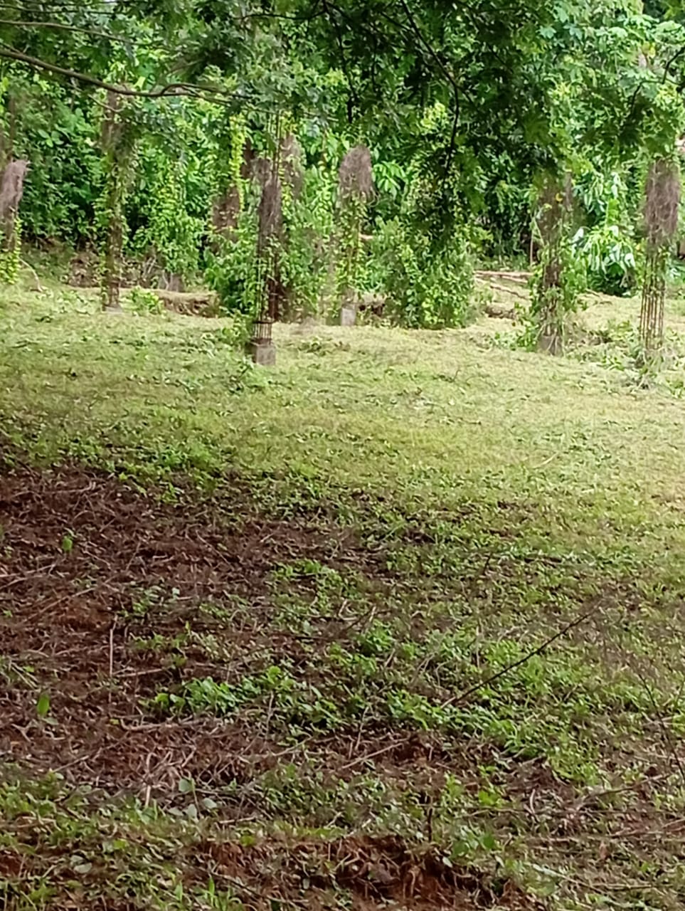 HANCO THE GREEN VILLAGE