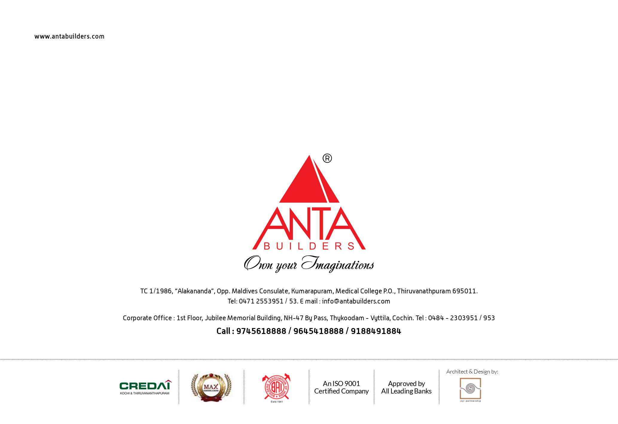 ANTA - HILL TREE