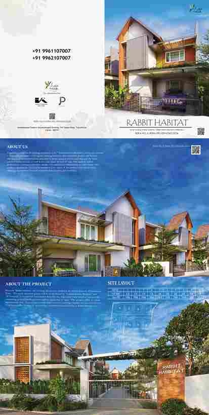 RABBIT HABITAT