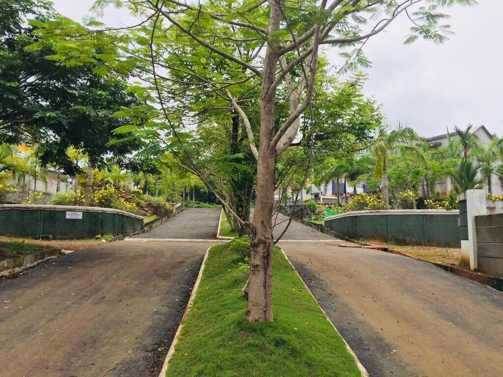 ELIXIR GARDENS