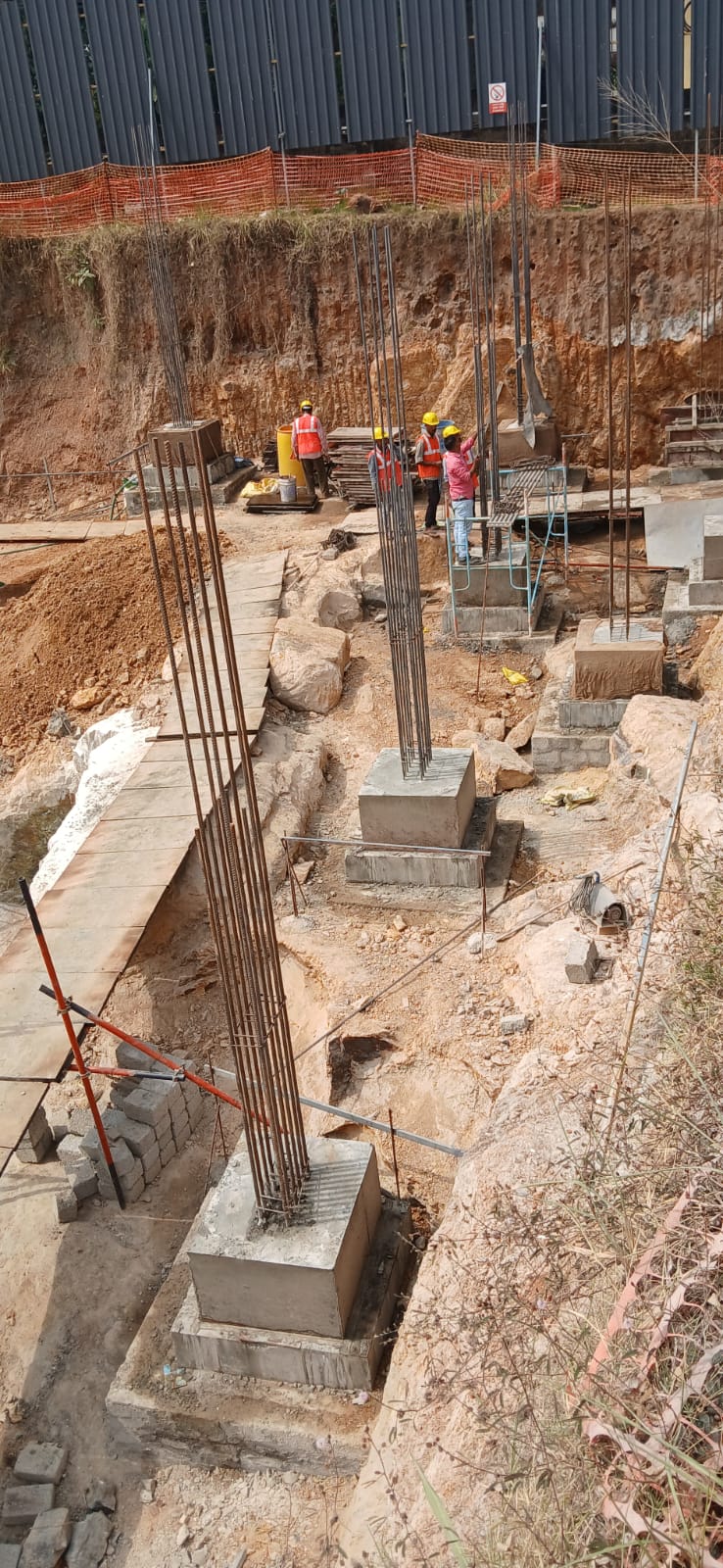 SFS SONG OF NIGHTINGALE