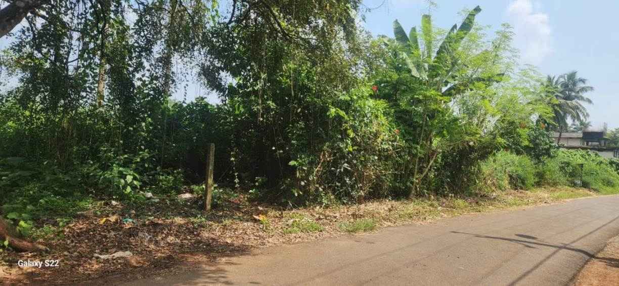 VICTORIA REALTORS PRIYAM